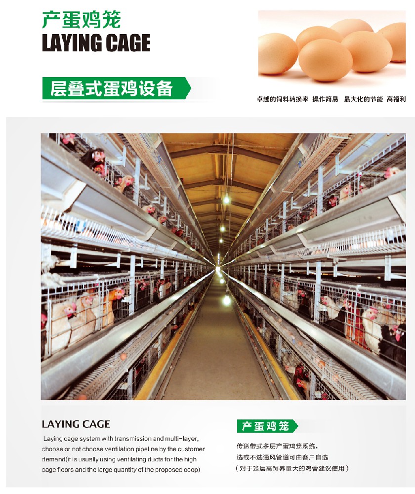 層疊式蛋雞養(yǎng)殖設備